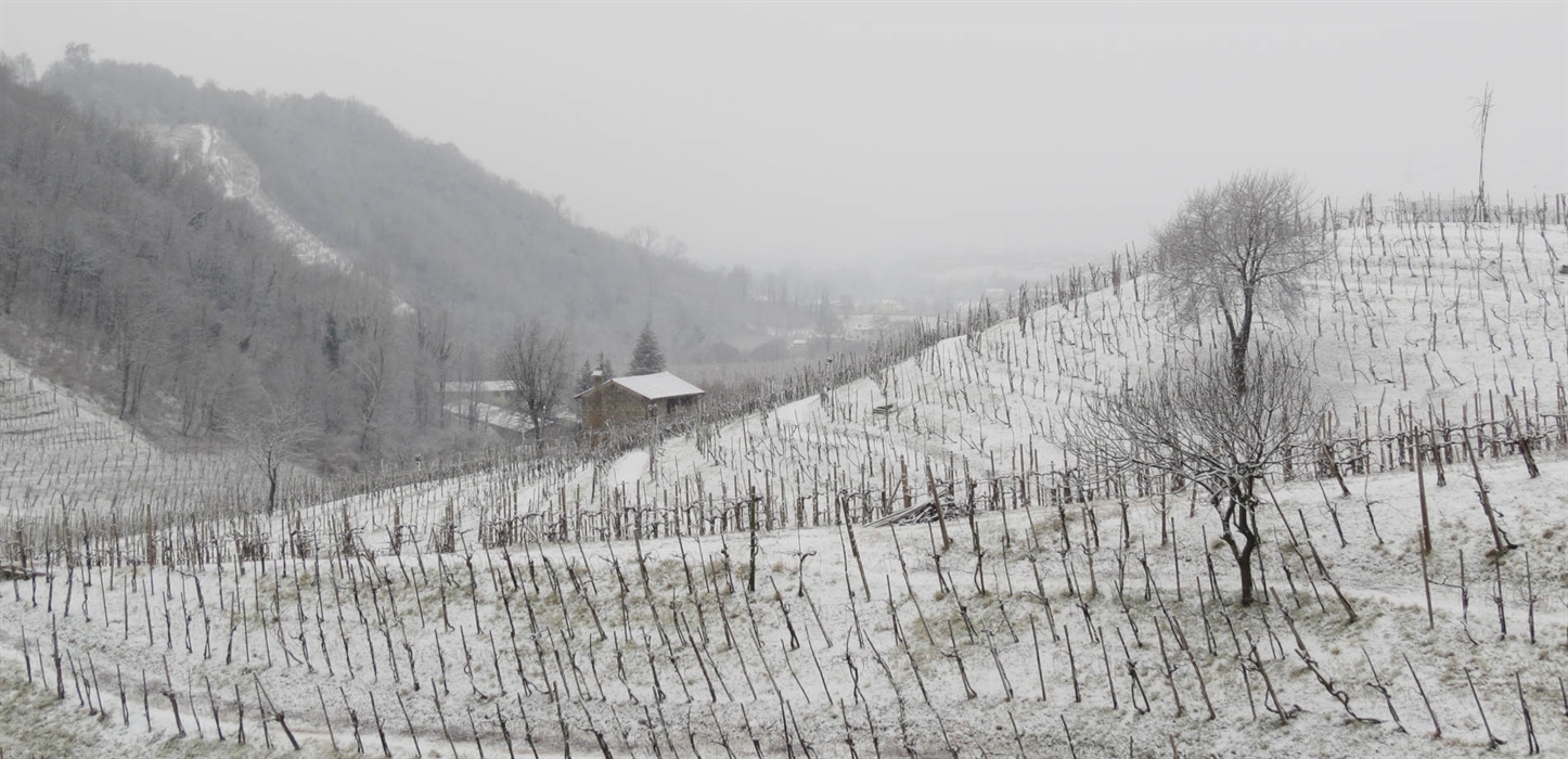 Coste Piane invernali