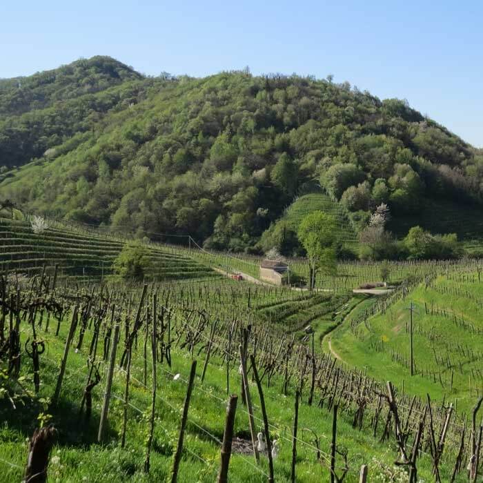 Colli di S. Stefano di Valdobbiadene